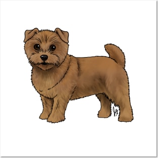 Dog - Norfolk Terrier - Red Posters and Art